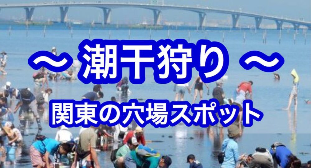 関東のおすすめ潮干狩りスポット 無料で人気の場所一覧と時期