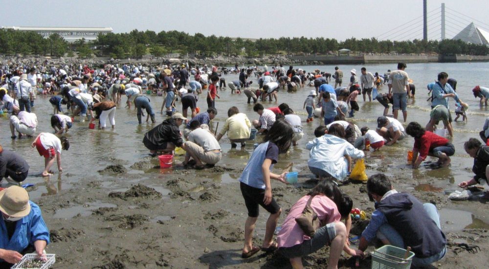 関東のおすすめ潮干狩りスポット 無料で人気の場所一覧と時期