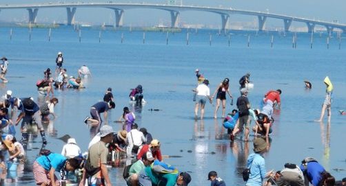 関東のおすすめ潮干狩りスポット 無料で人気の場所一覧と時期